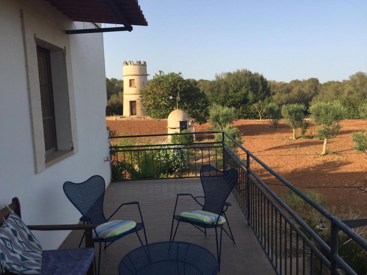 קמפוס Finca Las Tortugas מראה חיצוני תמונה