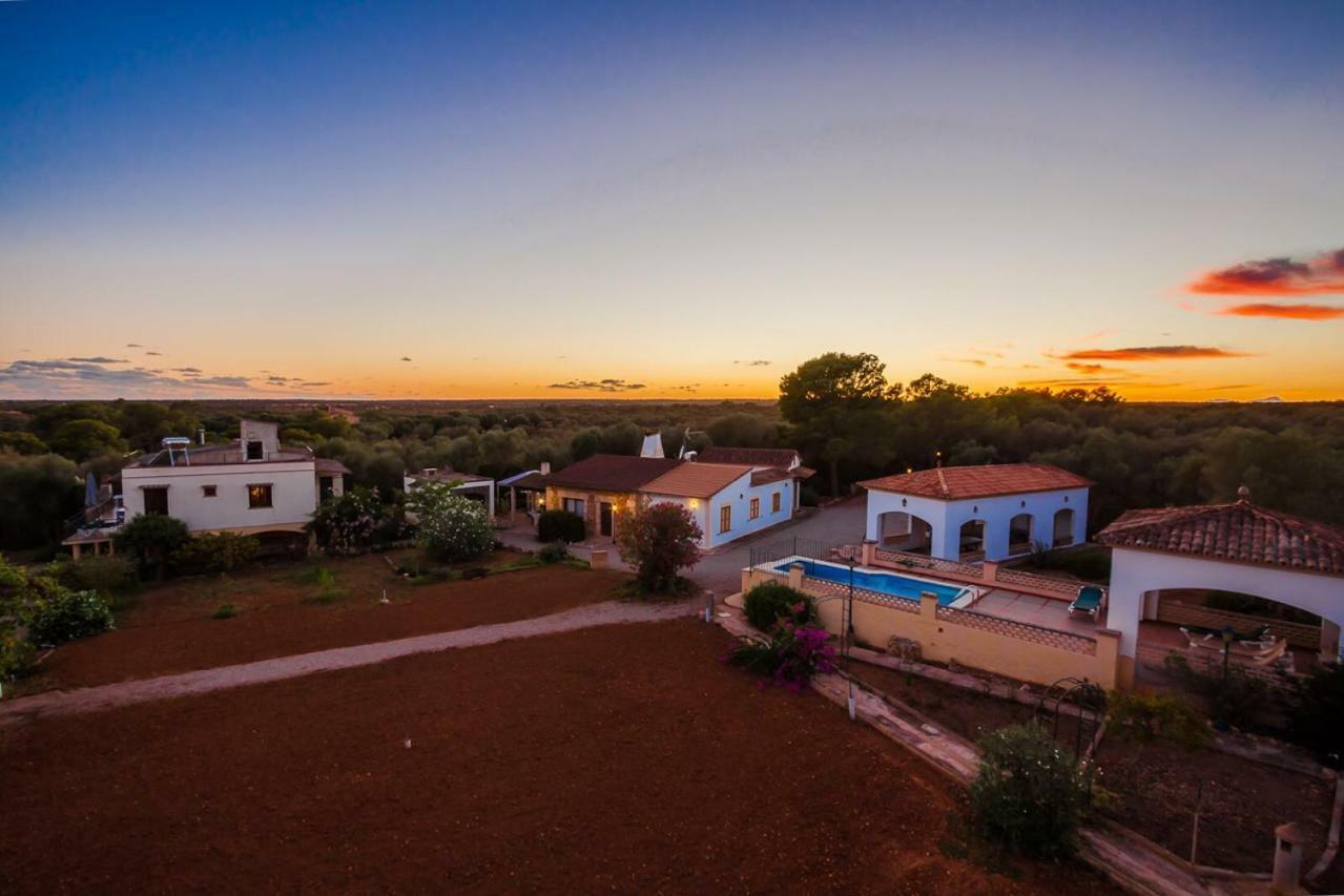 קמפוס Finca Las Tortugas מראה חיצוני תמונה